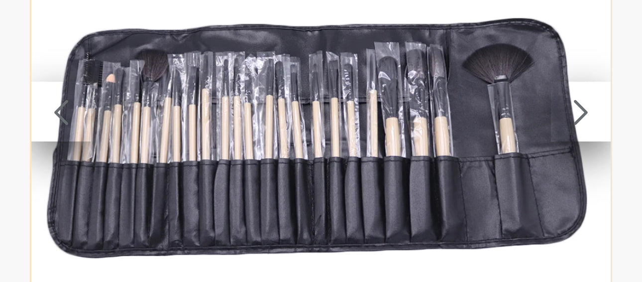 Makeup Brush Set - Four Color Options - Twenty-Four Piece Set