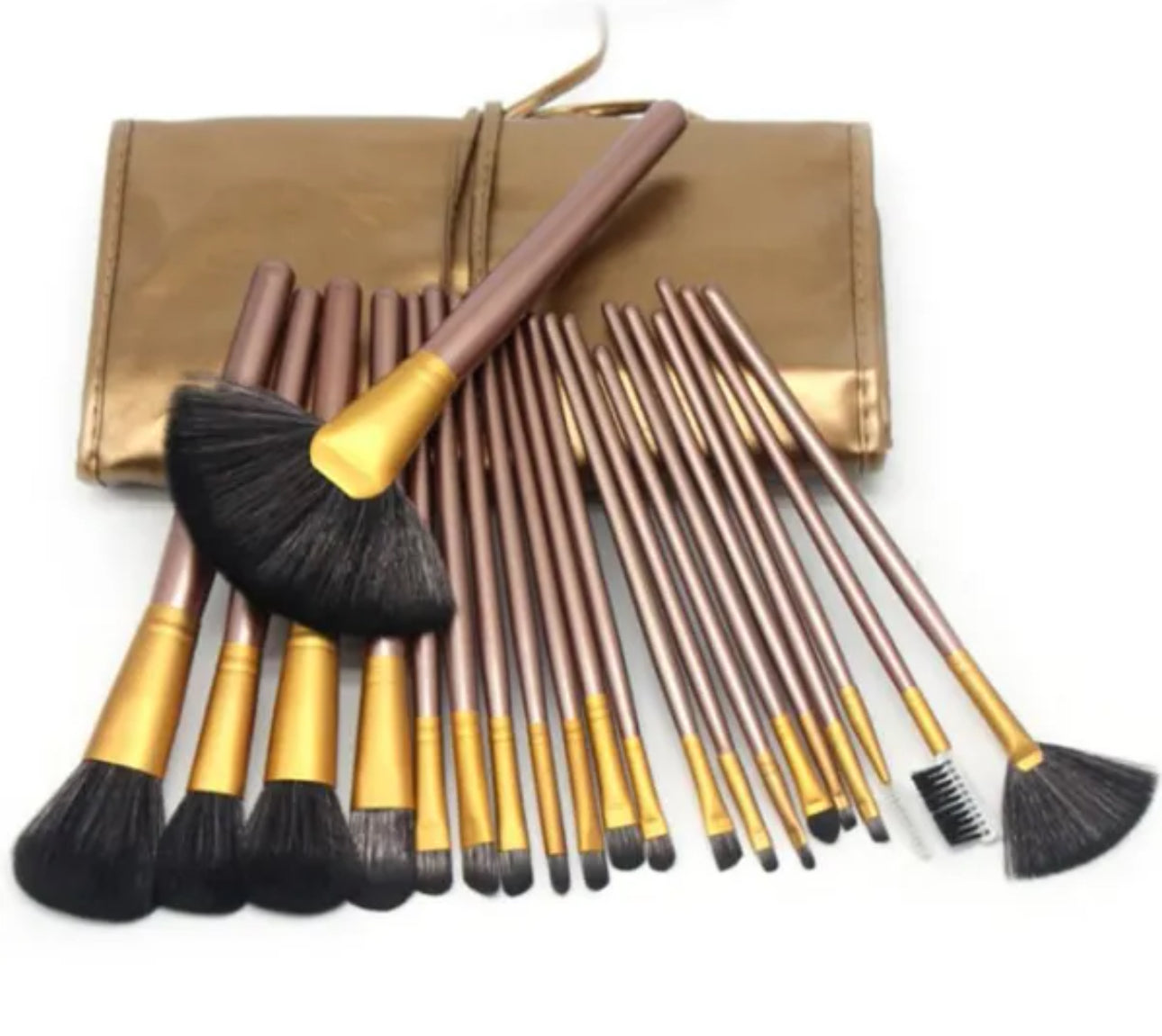 Makeup Brush Set - Four Color Options - Twenty-Four Piece Set